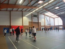 atelier-handball-terre-de-jeux-2024-dom-sortais-beaupreau